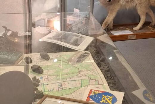 Ein ausgestopfter Wolf steht in einem Museum neben einer Vitrine mit Karten und Abzeichen.