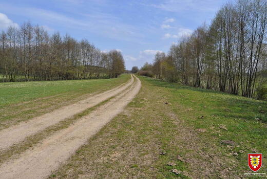 Ein sandiger Weg führt durch eine grüne Landschaft, gesäumt von kahlen Bäumen unter einem blauen Himmel.