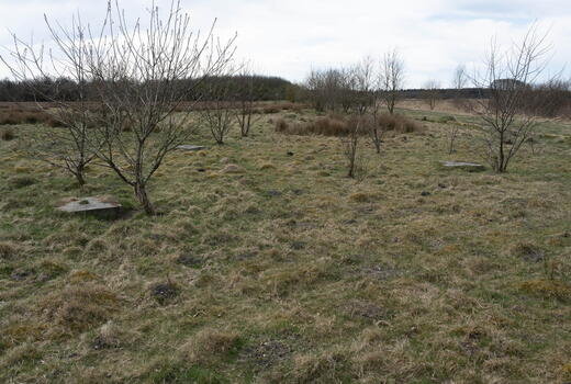 Antennenfundamente an der ehemaligen französischen Peilstation auf dem ehemaligen Standortübungsplatz Kaltenkirchen