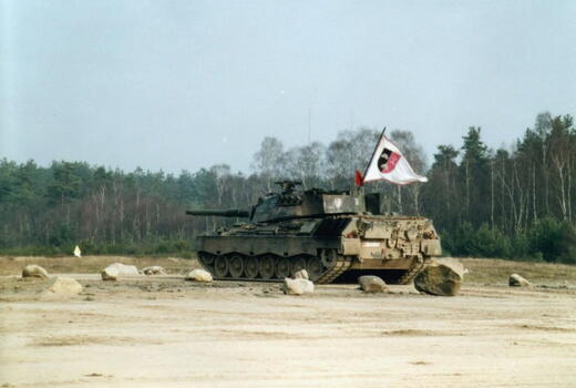 Ein Panzer mit wehender Flagge steht auf einem offenen Feld, umgeben von Bäumen und großen Steinen.