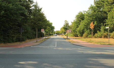 Eine ruhige Straße führt durch eine grüne Landschaft, gesäumt von Bäumen und Radwegen an einem sonnigen Tag.