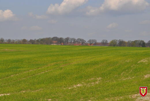 Grüne Wiese unter einem bewölkten Himmel mit einem Dorf und Bäumen im Hintergrund.