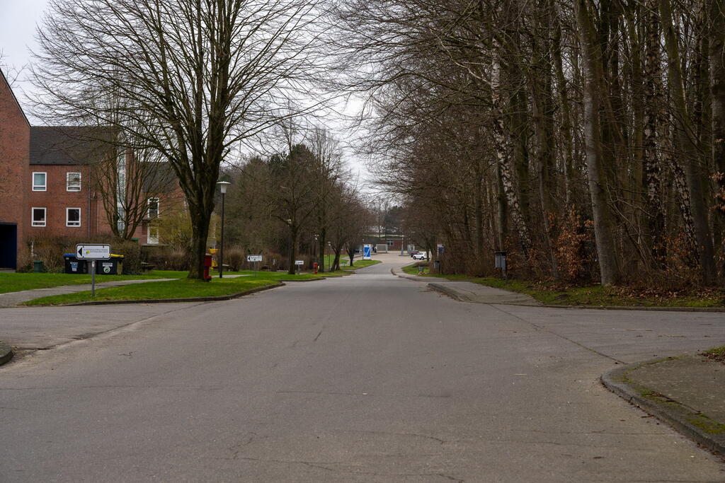 Eine ruhige Straße führt vorbei an kahlen Bäumen und einem Backsteinhaus, während der Himmel bedeckt ist.