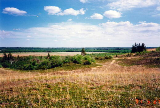Eine weite Landschaft mit Wiesen und Wäldern unter einem blauen Himmel in Shilo im Jahr 1991.