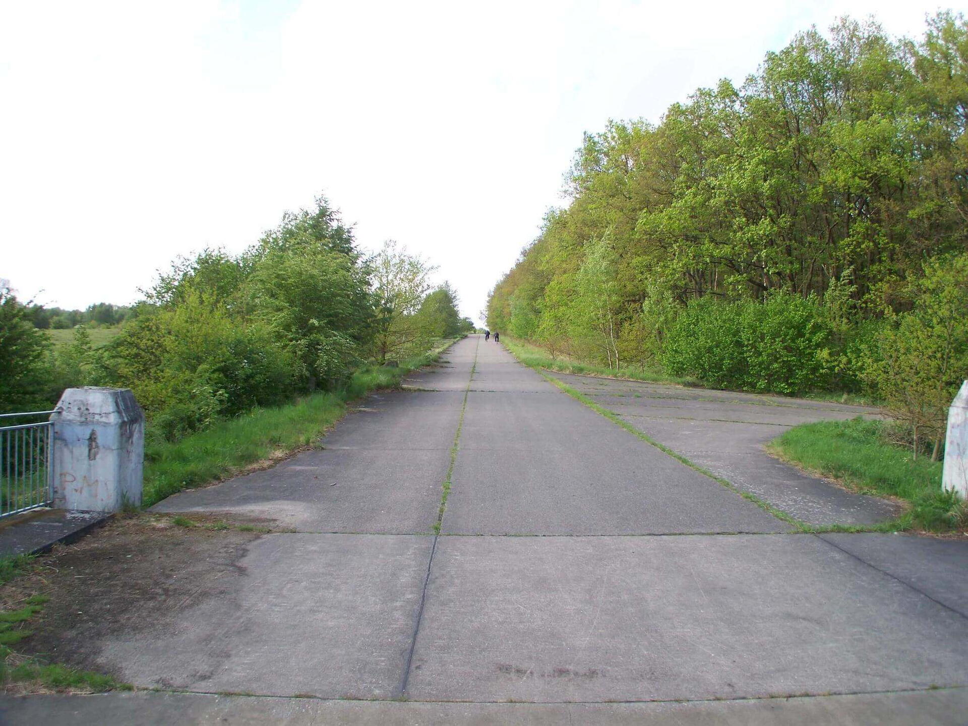 Eine gerade Panzerstraße im Naturschutzgebiet Höltigbaum, gesäumt von grünen Bäumen und Gebüsch.
