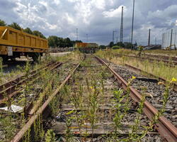 Güterbahnhof Wandsbek (Sören Kuhrt - 2021)
