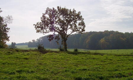 StOÜbPl Lütjenburg / Rantzau