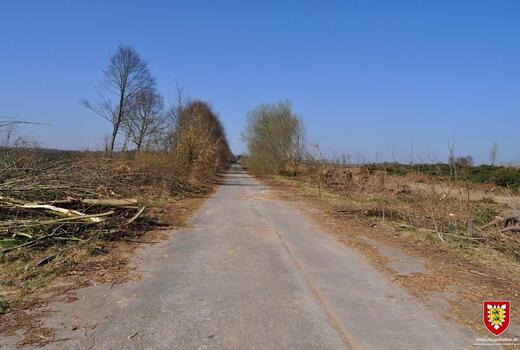 Eine gerade Straße führt durch eine karge Landschaft mit gefällten Bäumen unter klarem, blauem Himmel.