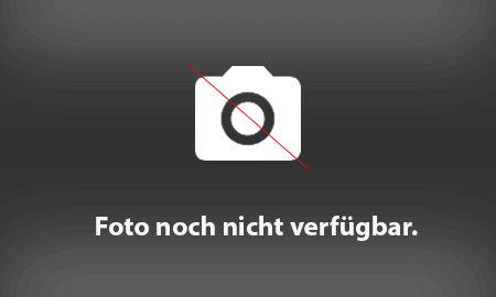 Ein durchgestrichenes Kamerasymbol zeigt an, dass das Bild derzeit nicht verfügbar ist.