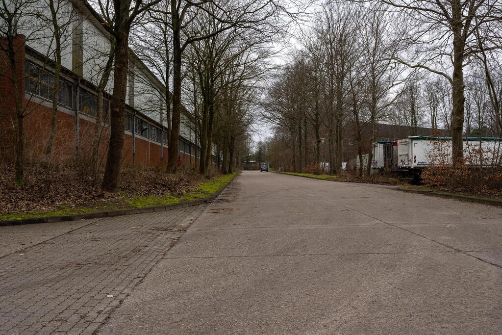 Eine leere Straße führt durch ein Industriegebiet, gesäumt von kahlen Bäumen und einem Backsteingebäude.