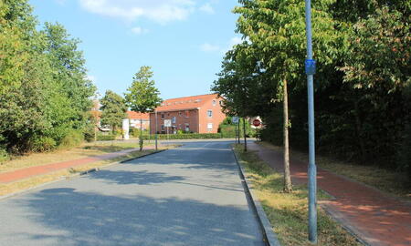 Eine ruhige Straße mit roten Backsteinhäusern und Bäumen an einem sonnigen Tag in einer Wohngegend.