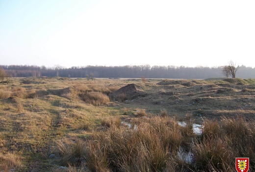 Eine weitläufige, unebene Wiesenlandschaft bei Lanken, ideal als Übungsgelände; im Hintergrund Bäume.