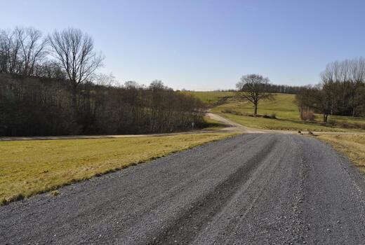 Ein Kiesweg führt durch eine ruhige, grüne Landschaft mit Bäumen unter einem klaren blauen Himmel.
