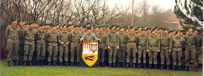 Umgliederungskommando des Panzergrenadierbataillon 163 (1992)