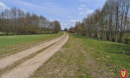 Ein sandiger Weg führt durch eine grüne Landschaft, gesäumt von kahlen Bäumen unter einem blauen Himmel.