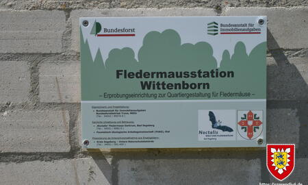 Schild Fledermausstation auf dem StOÜbPl Wittenborn (2016-06)